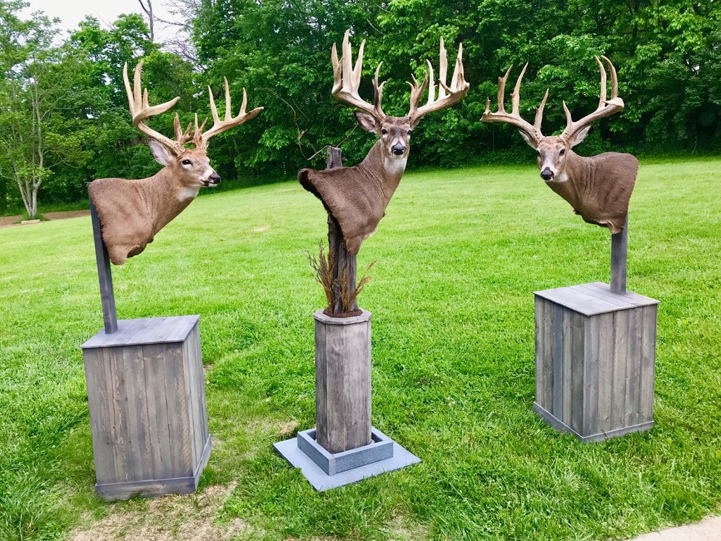 Tower Tines Trophy Hunts | 3205 Hebron Church Rd, Henryville, IN 47126, USA | Phone: (502) 664-8238