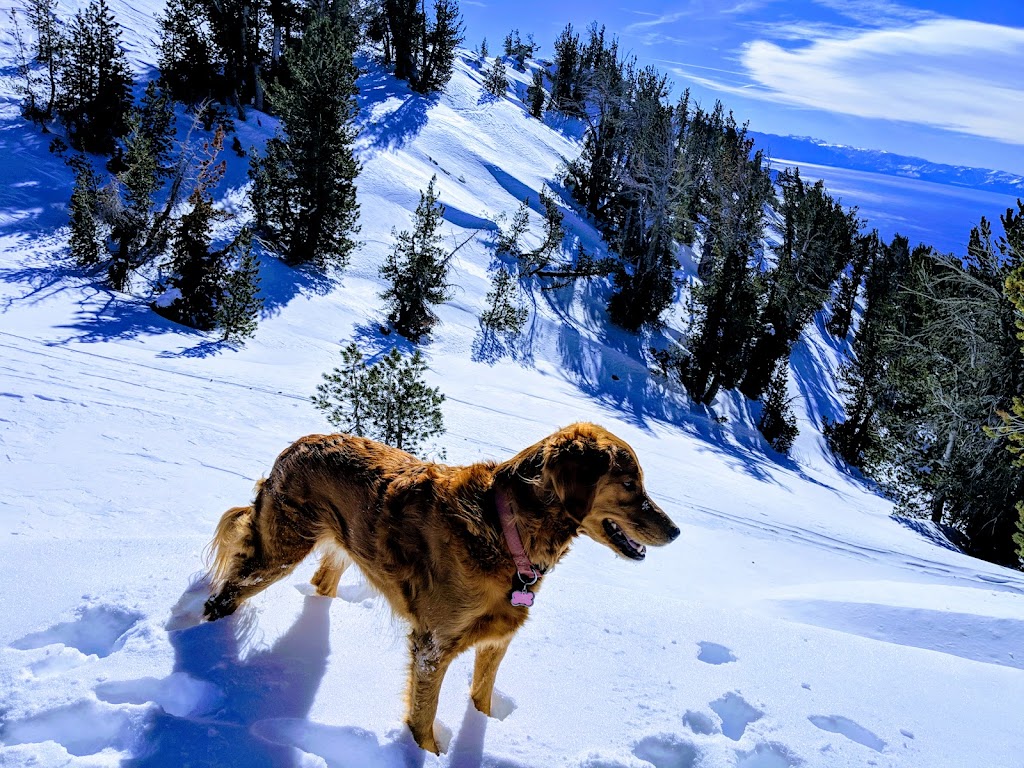 Mt. Rose Wilderness | Incline Village, NV 89451, USA | Phone: (530) 543-2600