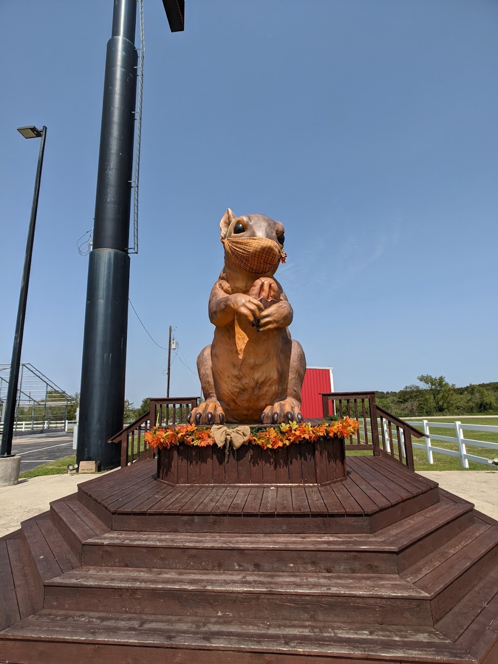 Pecan pie vending machine berdoll pecan candy and gift shop | 2626 State Hwy 71, Cedar Creek, TX 78612, USA | Phone: (800) 518-3870