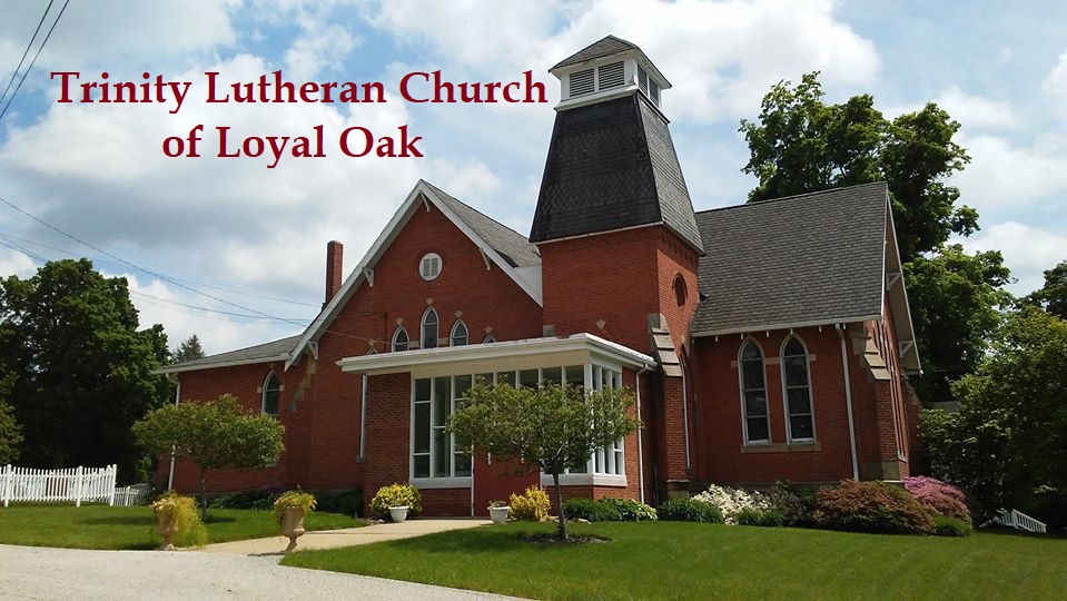 Trinity Lutheran Church of Loyal Oak | 3281 S Cleveland Massillon Rd, Norton, OH 44203, USA | Phone: (330) 825-3217