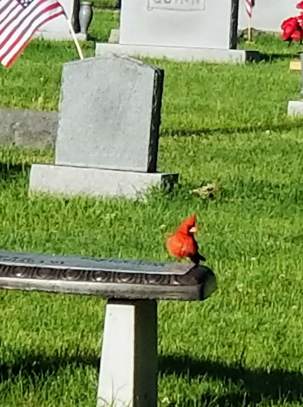 Grove City Cemetery | Grove City, OH 43123, USA | Phone: (614) 875-3682