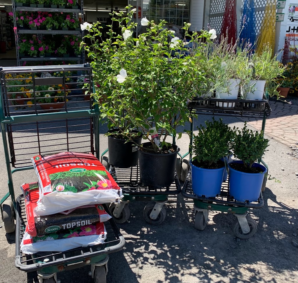 Robinson ACE Hardware & Garden Center | Robinson Hardware and Garden Center, 1900 New Scotland Rd, Slingerlands, NY 12159, USA | Phone: (518) 475-9483