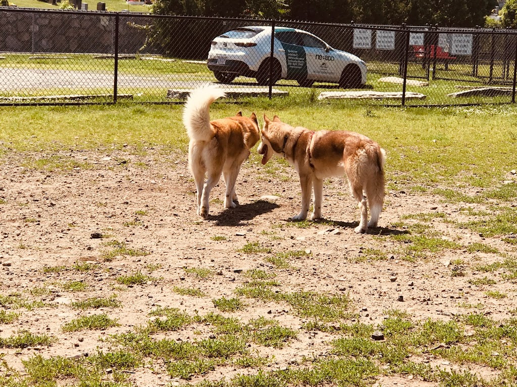 Barkland Ave Dog Park | Lynn, MA 01904, USA | Phone: (781) 599-1444