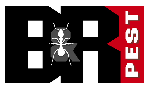 B&R Pest Services | 17170 Jordan Rd, Selma, TX 78154, USA | Phone: (210) 889-3430