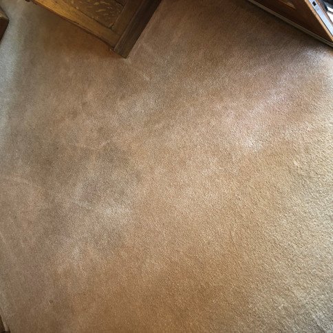 Mountain Best Carpet & Upholstery Cleaning | 26238 South End Rd, Kittredge, CO 80457, USA | Phone: (720) 776-2158