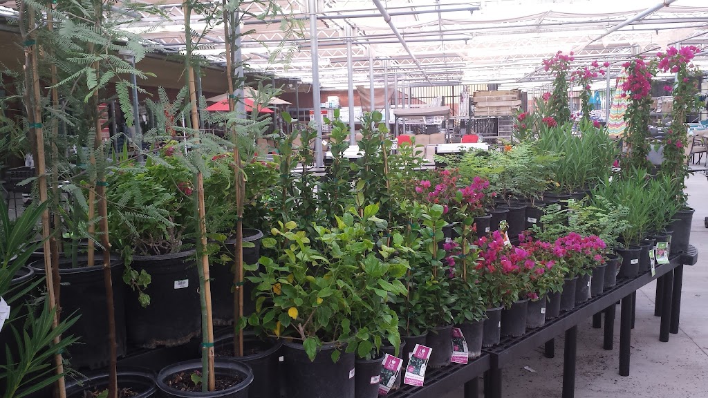 Walmart Garden Center | 4505 E McKellips Rd, Mesa, AZ 85215, USA | Phone: (480) 641-6728