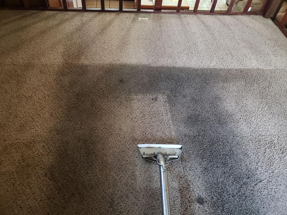 Steves Carpet Care | 2635 Mapleton Ave #160, Boulder, CO 80304, USA | Phone: (303) 530-4900