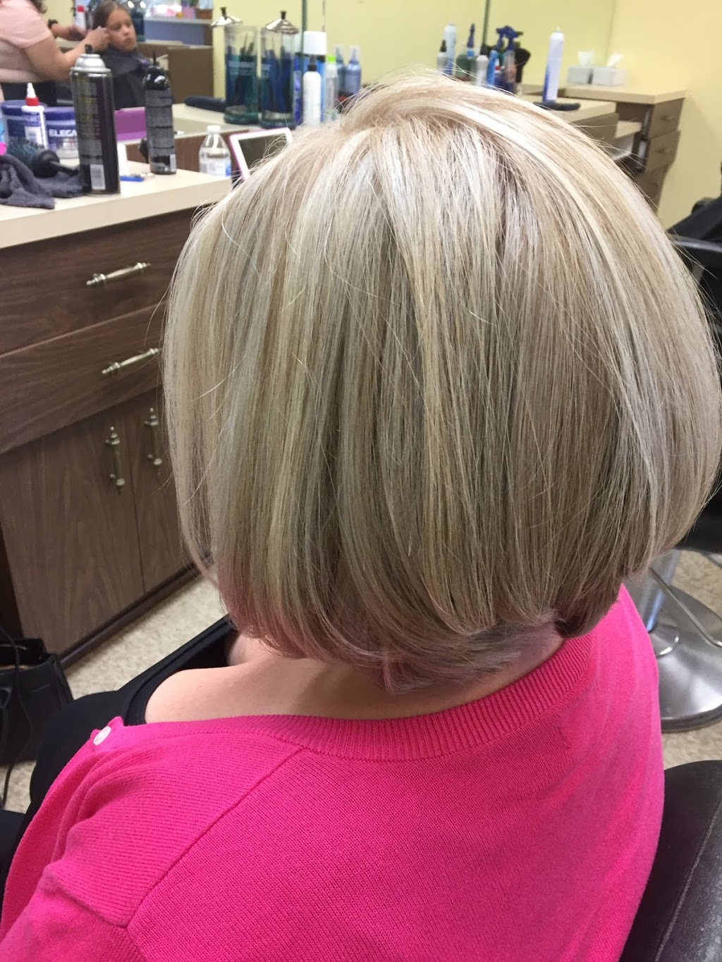 Plumbrook Salon | 38365 Dodge Park Rd, Sterling Heights, MI 48312, USA | Phone: (586) 883-9215