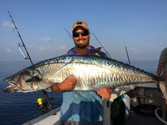 Barracuda Bobs Island Surf & Sports | 240 Causeway Blvd, Dunedin, FL 34698, USA | Phone: (727) 466-1776