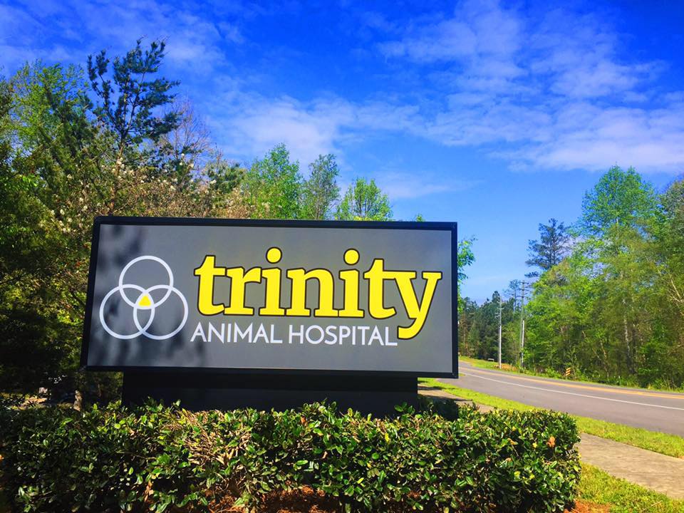 Trinity Animal Hospital | 4240 Sunset Lake Rd, Holly Springs, NC 27540, USA | Phone: (919) 303-7880