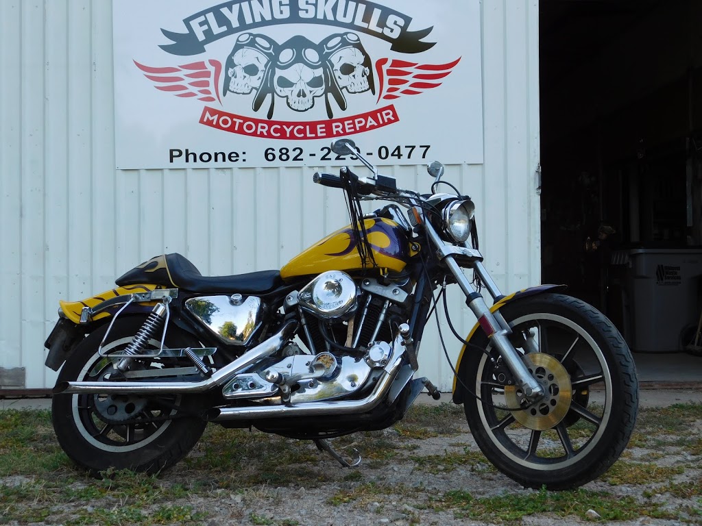 Flying Skulls | 1844 Newsom Mound Rd, Springtown, TX 76082, USA | Phone: (682) 229-0477