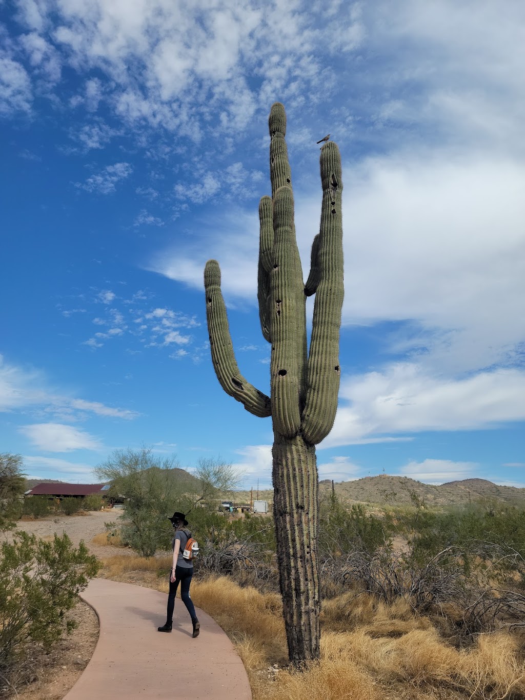 Pioneer Arizona Living History Museum | 3901 W Pioneer Rd, Phoenix, AZ 85086, USA | Phone: (623) 465-1052