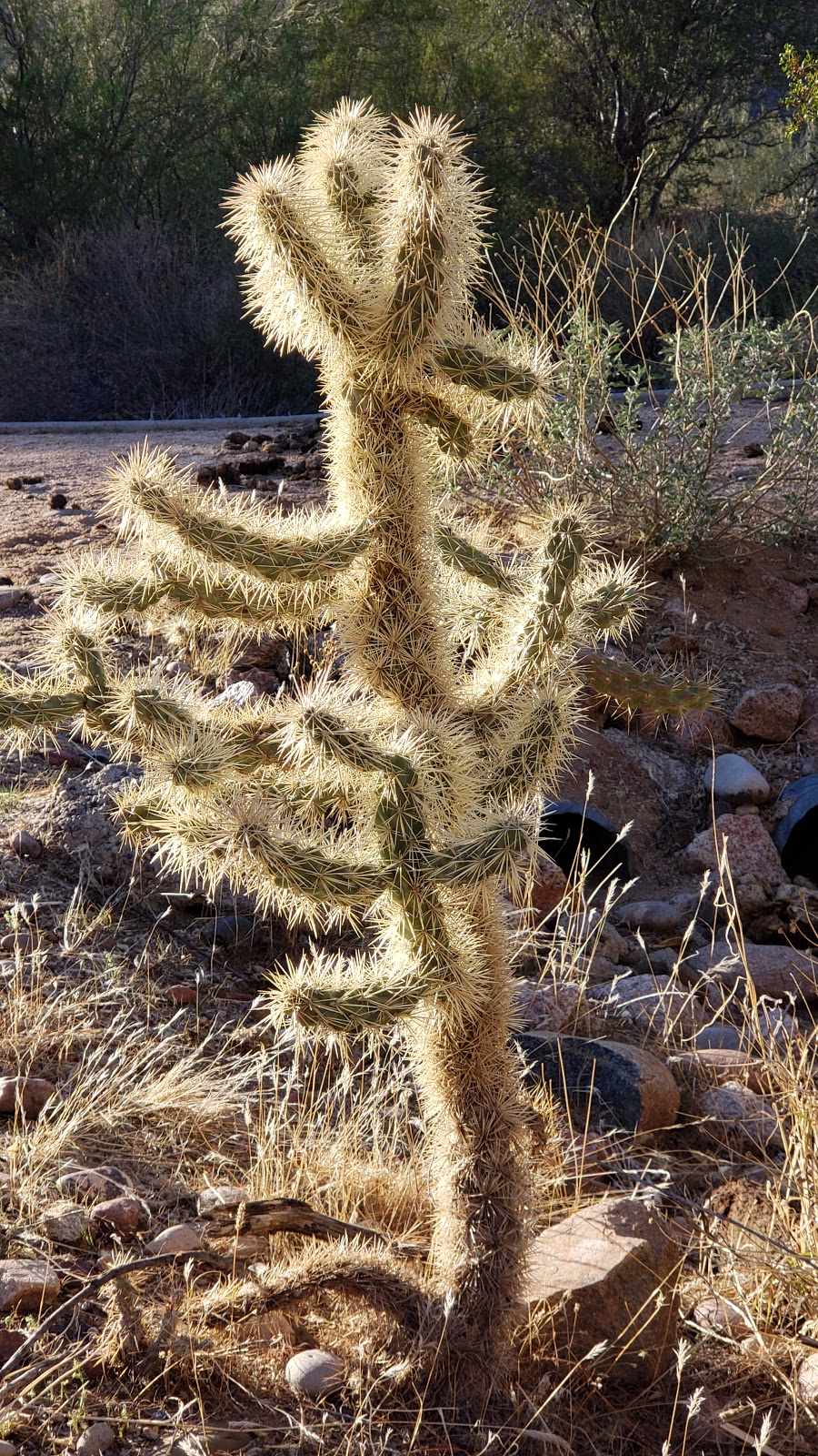 Water Users Recreation Site | Tonto Basin, AZ 85553, USA | Phone: (480) 610-3300