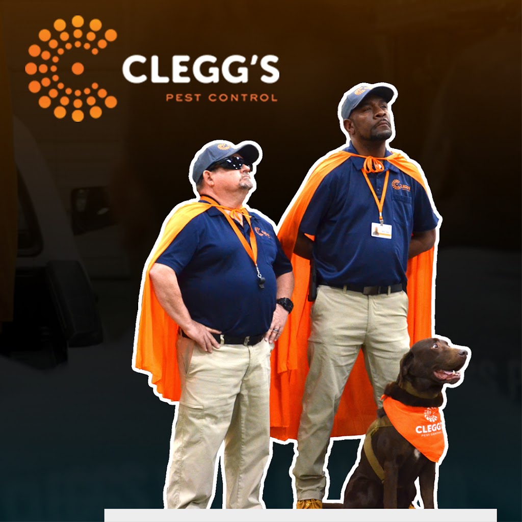 Clegg’s Termite & Pest Control - Smithfield | 1520 S Brightleaf Blvd, Smithfield, NC 27577, USA | Phone: (919) 934-0229