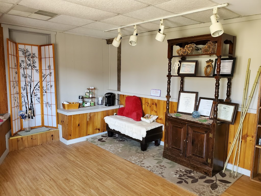 Maggie Moyer Acupuncture | 100 W Penn Street Rear Building, New Freedom, PA 17349, USA | Phone: (717) 968-6574