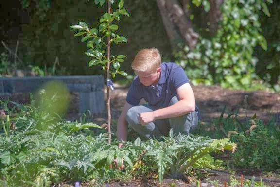 Waldorf School of the Peninsula | 180 N Rengstorff Ave, Mountain View, CA 94043, USA | Phone: (650) 417-7600