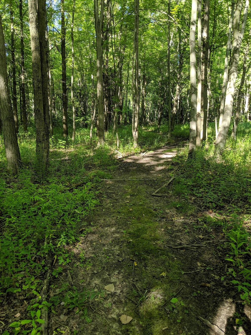 Sibley Prairie Nature Preserve - West Prairie | 26360 West Rd, Brownstown Charter Twp, MI 48134, USA | Phone: (734) 484-6565