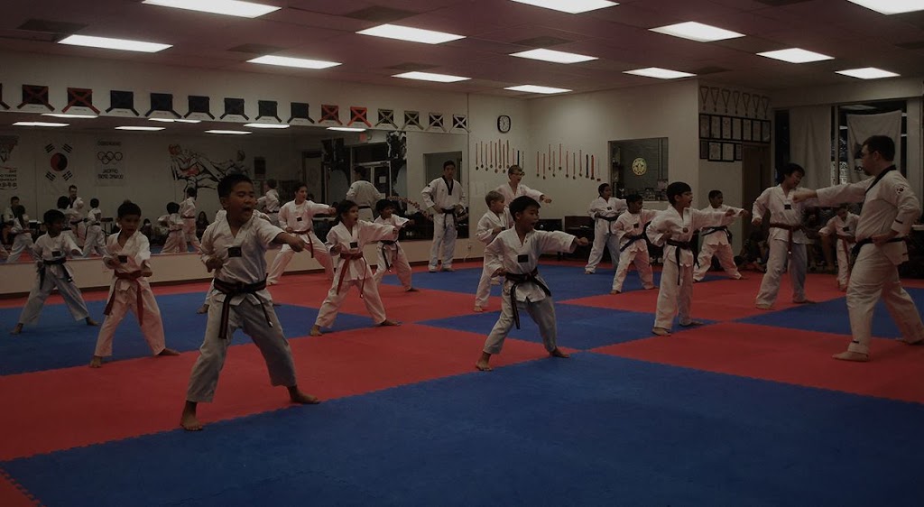 K TIGER TAEKWONDO MARTIAL ARTS | 2750 Race Track Rd #309, Fruit Cove, FL 32259, USA | Phone: (904) 217-3682