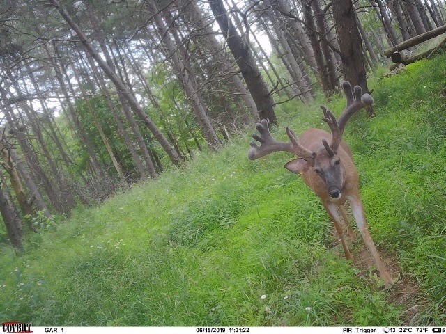 Tower Tines Trophy Hunts | 3205 Hebron Church Rd, Henryville, IN 47126, USA | Phone: (502) 664-8238