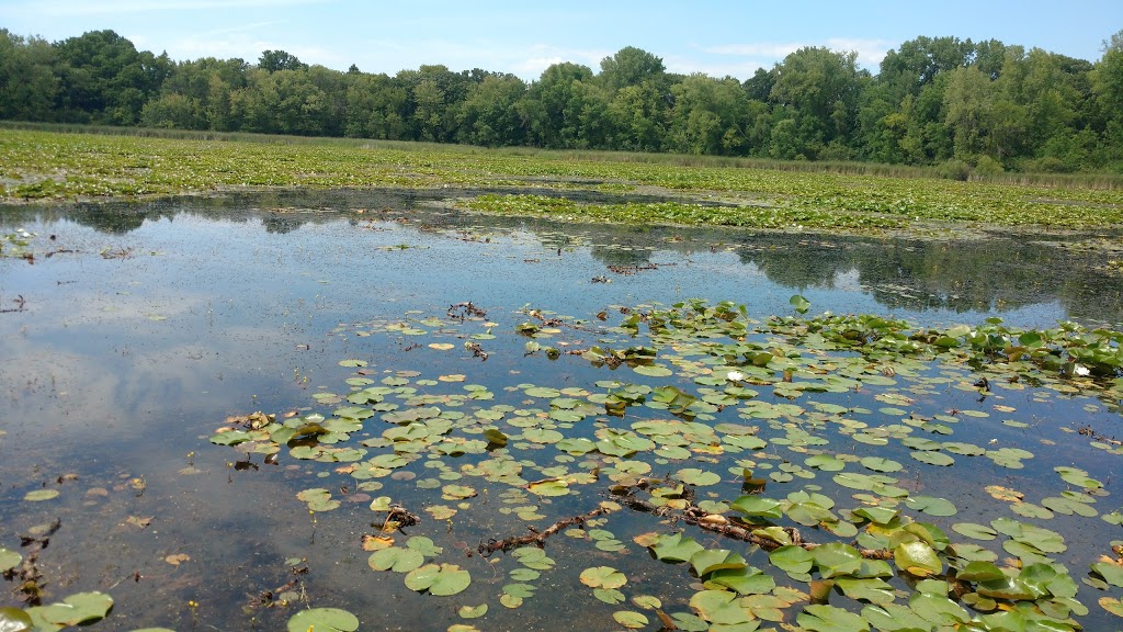 Maplewood Nature Center | 2659 E 7th St, Maplewood, MN 55119, USA | Phone: (651) 249-2170