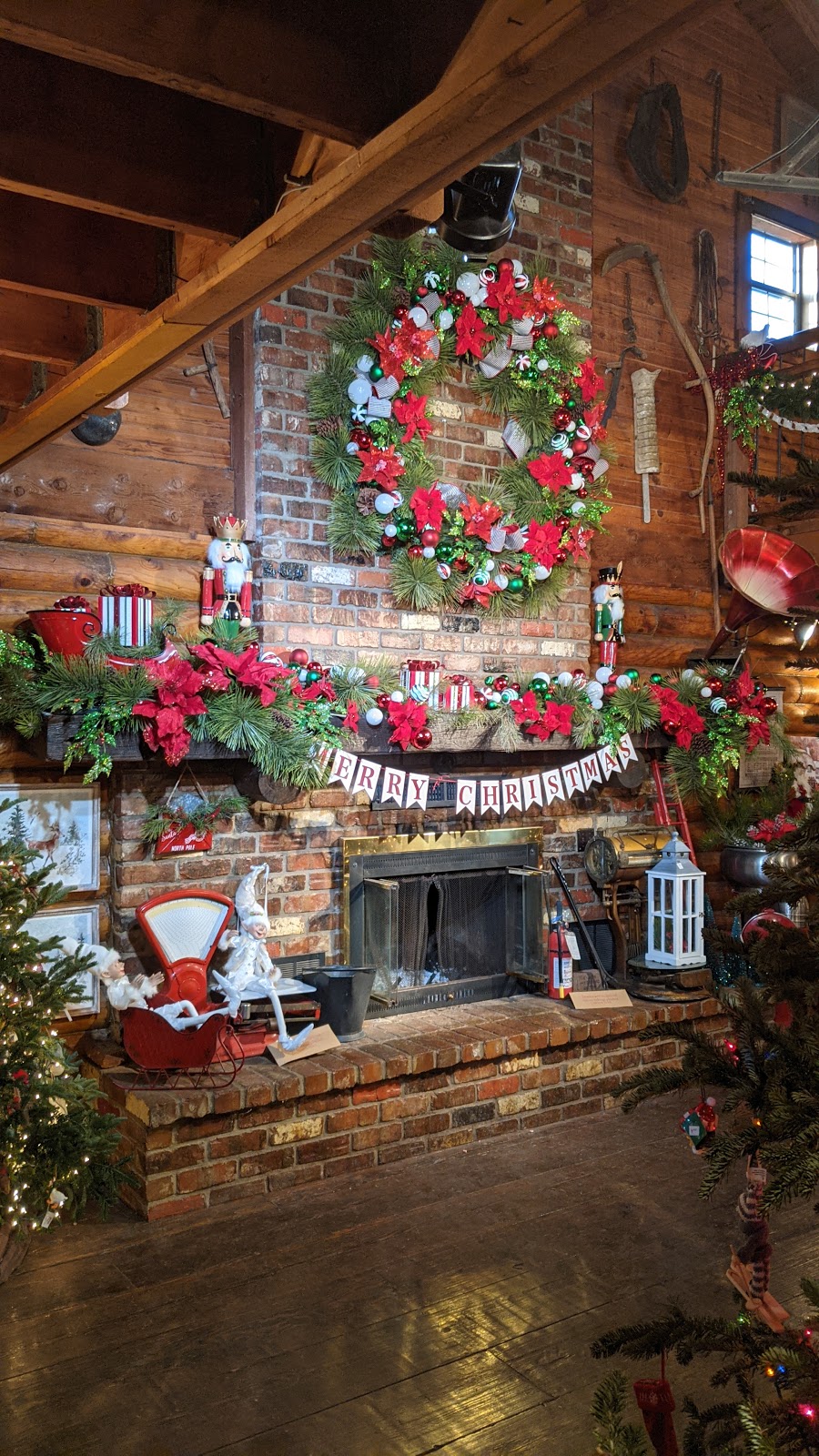 Prairie Pines Christmas Tree | 4055 N Tyler Rd, Maize, KS 67101, USA | Phone: (316) 722-1145